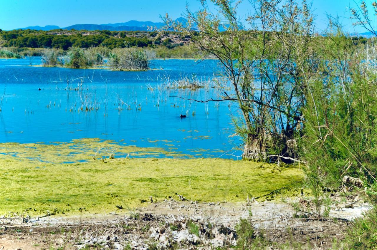 Refugio De Tranquilidad En Gran Alacant Exterior foto